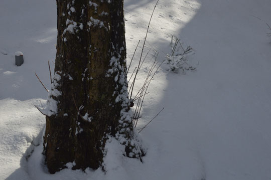 c0093046_963434.jpg