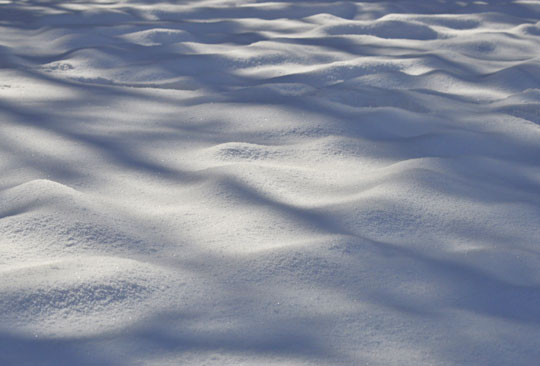 c0093046_965125.jpg