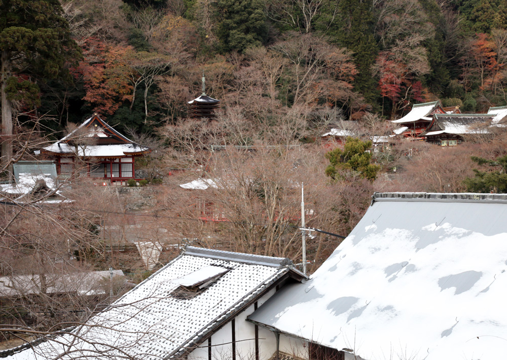 桜井市　談山神社　残雪_c0108146_2151381.jpg