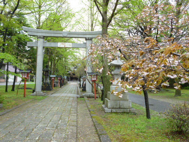 b0238249_20292940.jpg