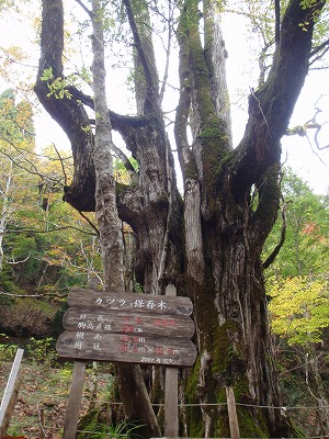 c0097754_1737082.jpg