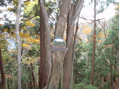 c0097754_17412754.jpg