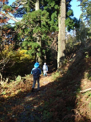 c0097754_1852535.jpg