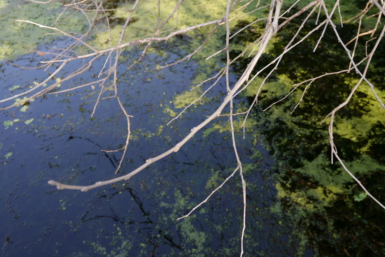 f0196856_2144527.jpg