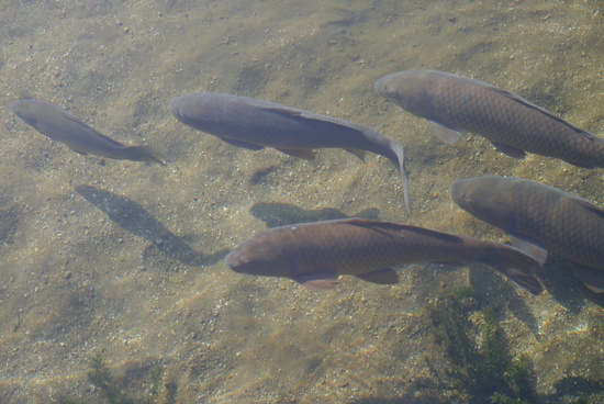 f0196856_2153268.jpg