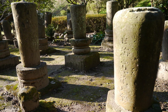 f0196856_21586.jpg