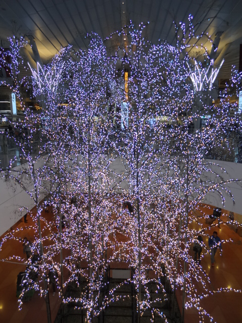 f0036857_2333087.jpg