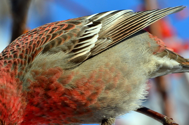 b0165760_2155329.jpg