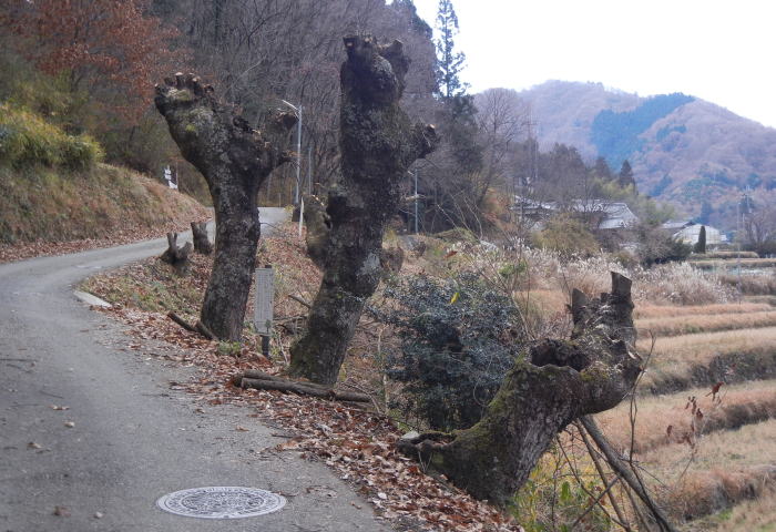 b0129962_10272823.jpg