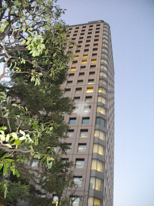 25日の夕方、講談社へ・・・。_c0198869_0192576.jpg