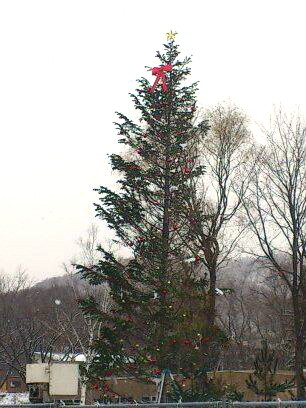e0068480_13323179.jpg