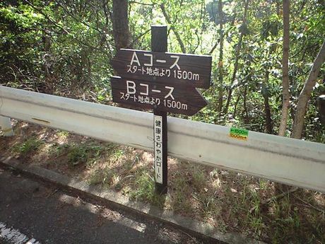 アロマ体感型ダム (長谷ダム)_b0005281_19355980.jpg