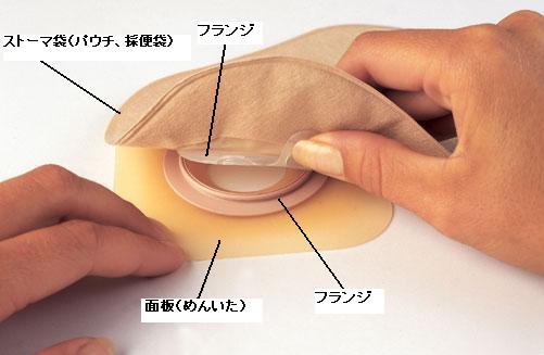 装具各部の名称 節約ストーマ生活 装具各部の名称 節約ストーマ生活
