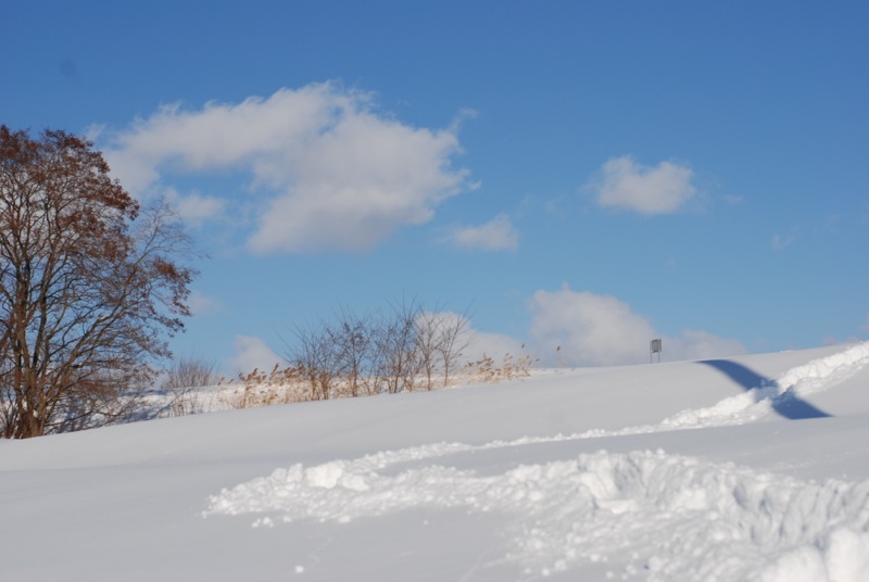 f0126483_229559.jpg