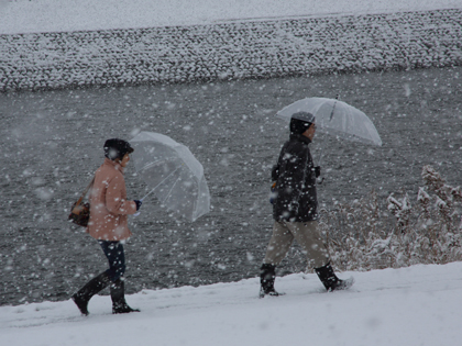 雪の日_e0066686_10504312.jpg