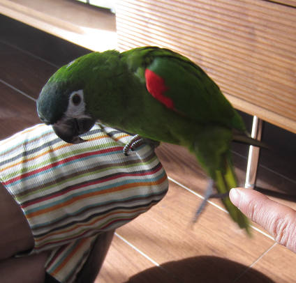 f0234590_9123696.png