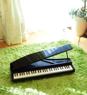 音楽で結ばれた両親からの、クリスマスプレゼント★_d0224894_21341437.jpg