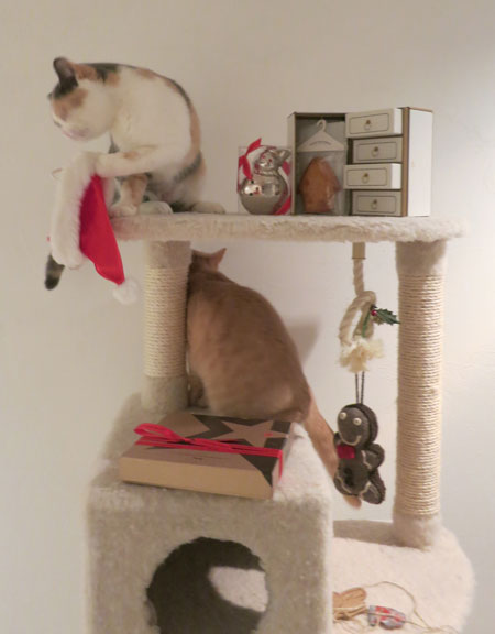 Merry Christmas!_c0108595_0585397.jpg