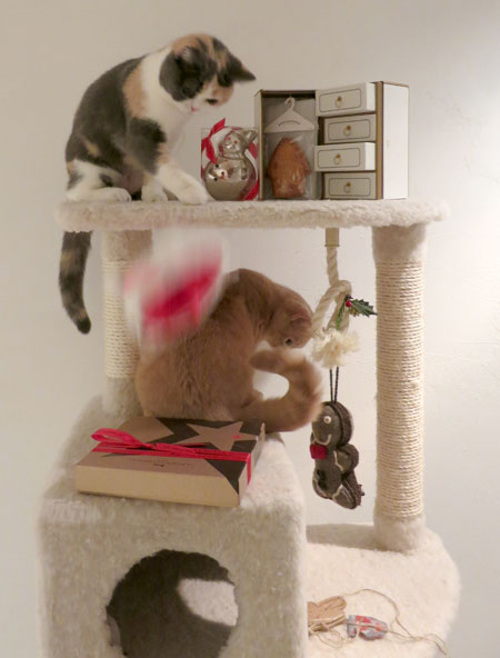 Merry Christmas!_c0108595_0593468.jpg