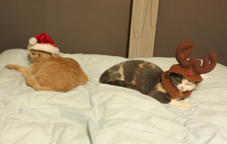Merry Christmas!_c0108595_111543.jpg