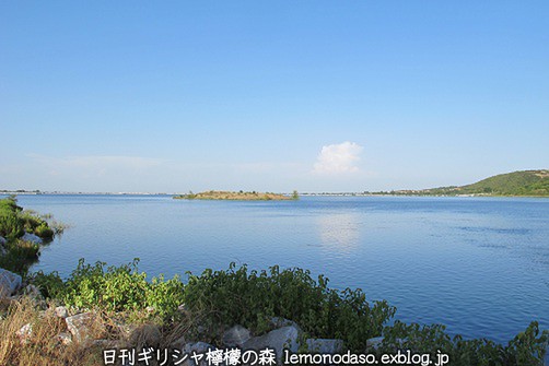 c0010496_555037.jpg