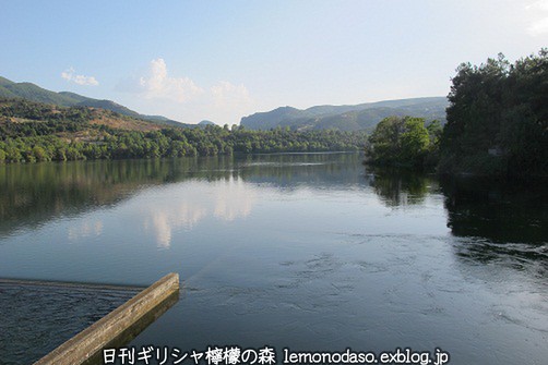 c0010496_55626.jpg