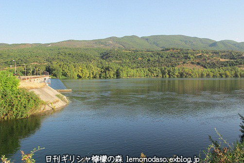c0010496_55635.jpg
