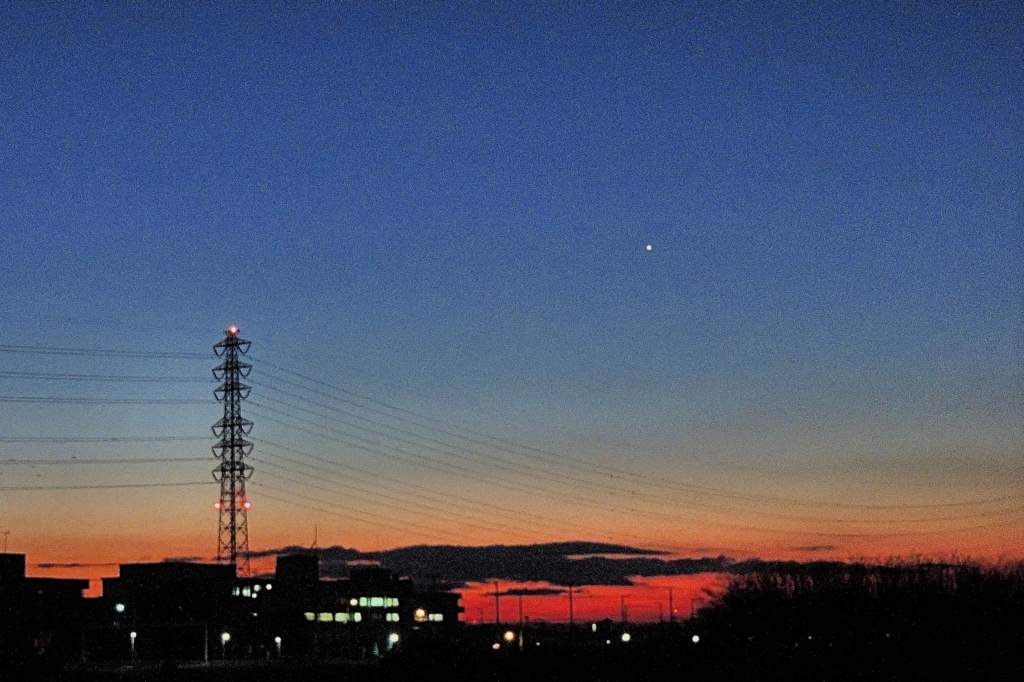 氷上のタシギ/アリスイ飛び出し/今朝の赤富士_b0024798_17153036.jpg