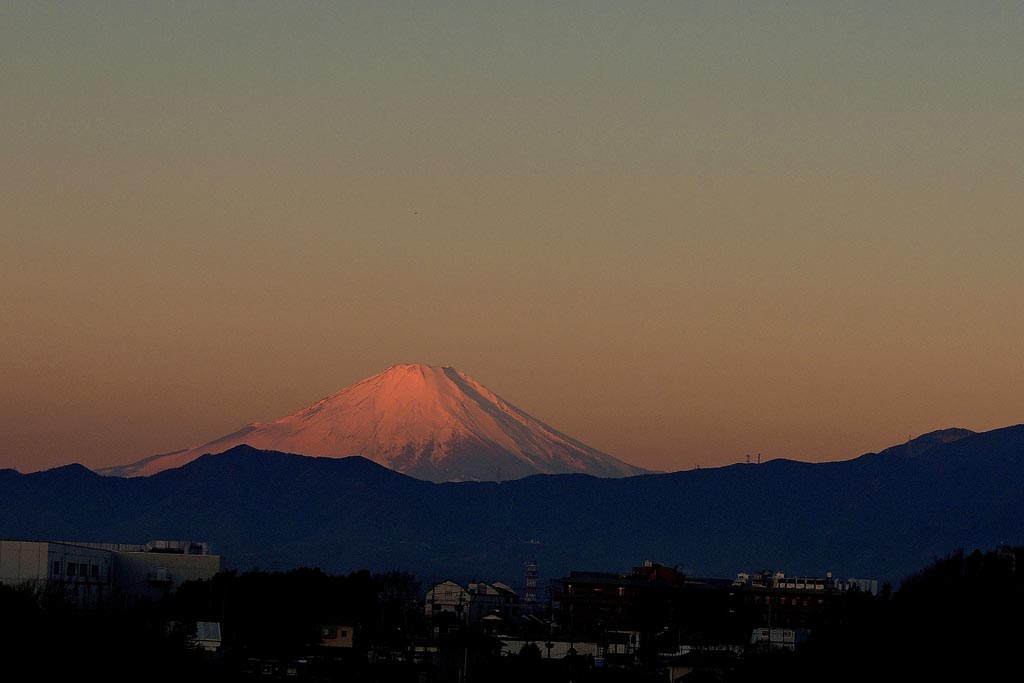 氷上のタシギ/アリスイ飛び出し/今朝の赤富士_b0024798_1715392.jpg
