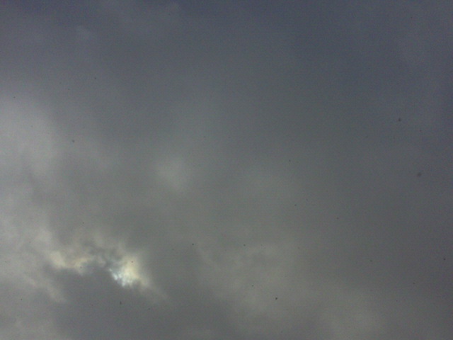 雪がチラチラ降ってます♪(*^□^*)_c0140599_11473895.jpg