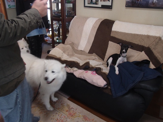 e0018604_13401343.jpg