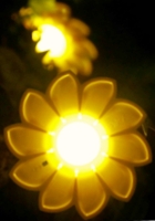 モノの価値や意義は何で決まるの? 希望の光、Little Sunの例_b0007805_10522090.jpg