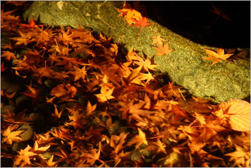 京都紅葉ぶらり旅　最終回　東山区　THE SODOH HIGASHIYAMA KYOTO　_b0180907_2183458.jpg