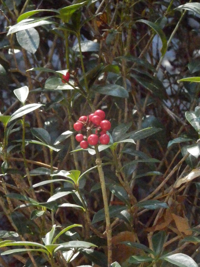 f0219710_7302136.jpg