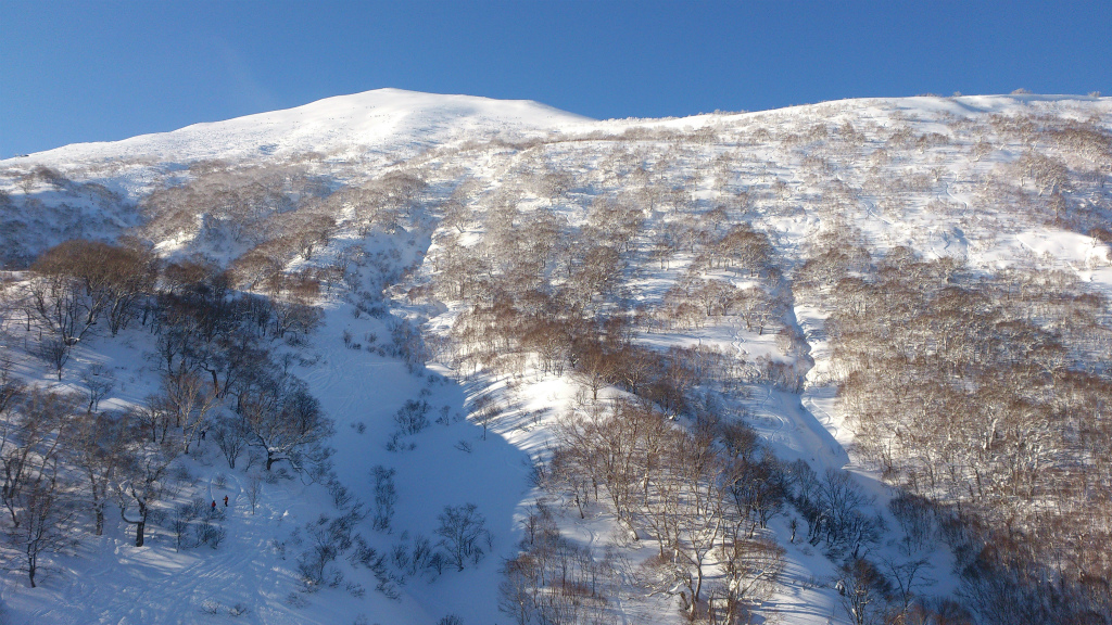 d0082212_6283910.jpg