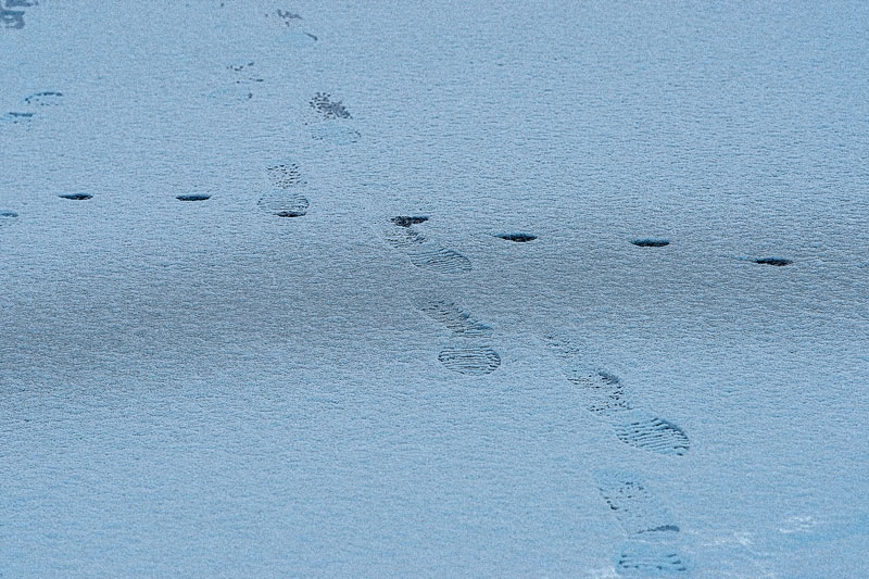 a0278914_7361413.jpg