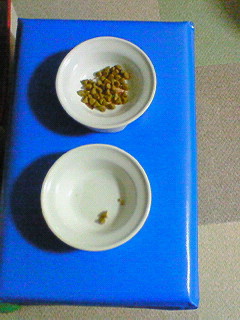 c0145016_7103859.jpg