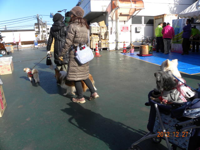 b0203018_1718962.jpg