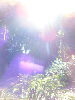 f0227218_22202144.png