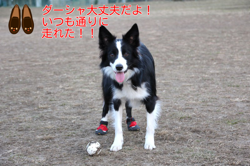 a0232619_1026423.png