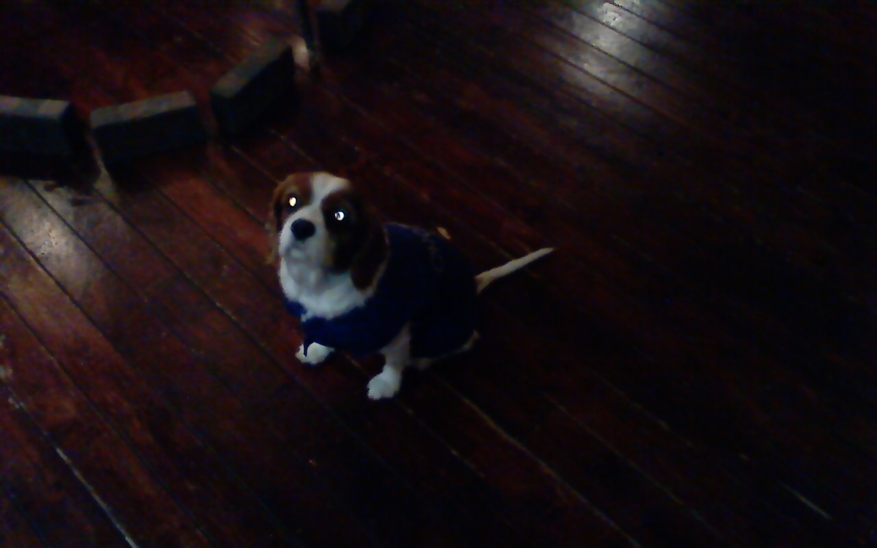 c0223419_11472694.jpg
