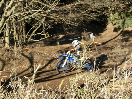 c0223419_11646100.jpg