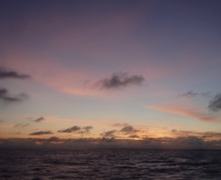 夕焼けダイブ_a0043520_1118118.jpg
