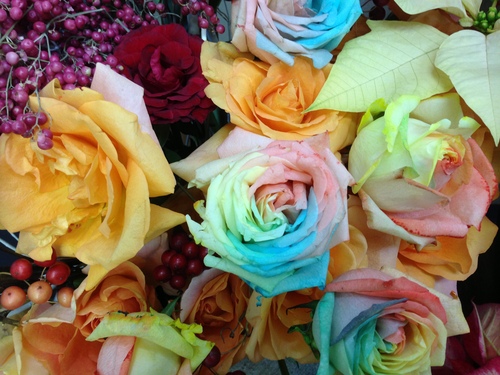 今週のお花_a0200423_19464211.jpg