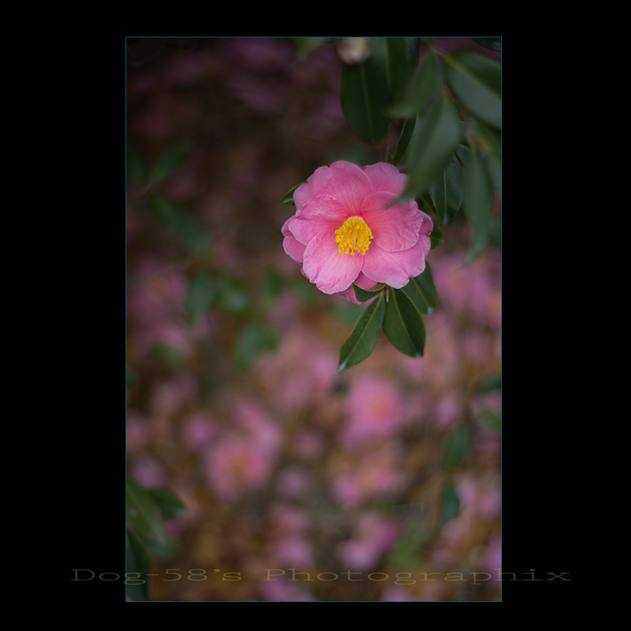 d0004832_21282534.jpg