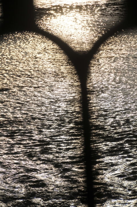 c0133133_0299.jpg