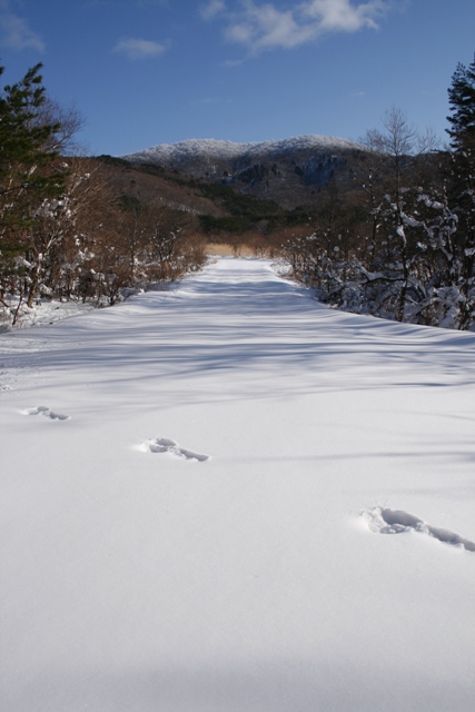 クリスマス寒波が過ぎて．．．_d0049138_16454092.jpg