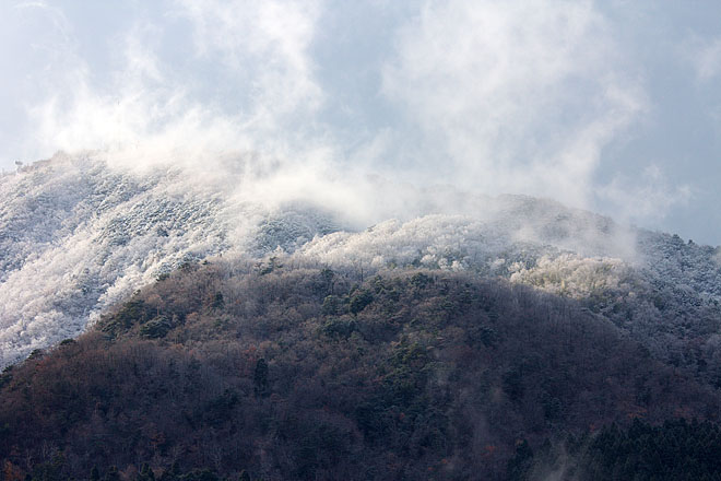 来日岳　～雪上がる～_c0067040_2236260.jpg