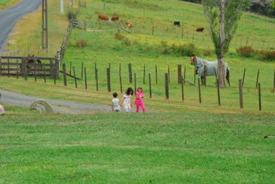 Farm Visit_b0208444_7182595.jpg