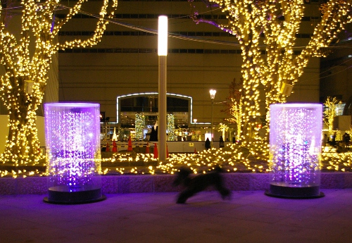 d0026745_5353779.jpg